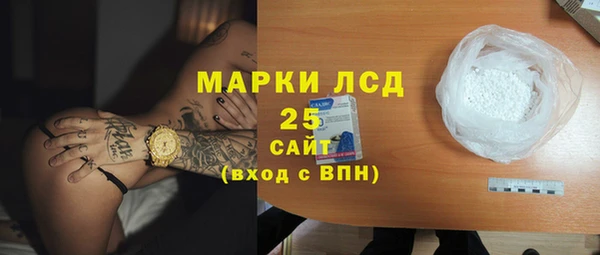 гидра Богородицк