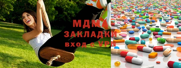 гидра Богородицк