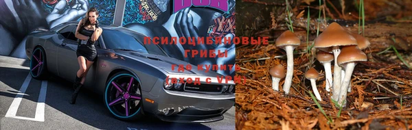 гидра Богородицк