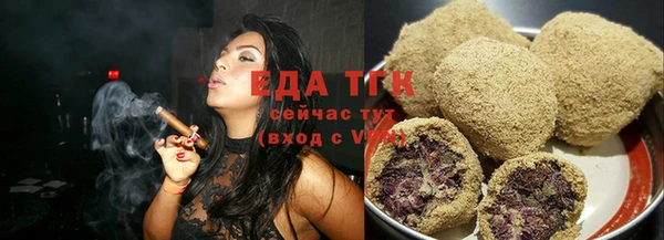 гидра Богородицк