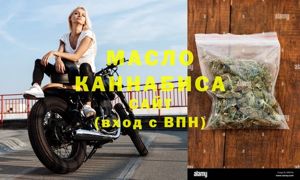 гидра Богородицк